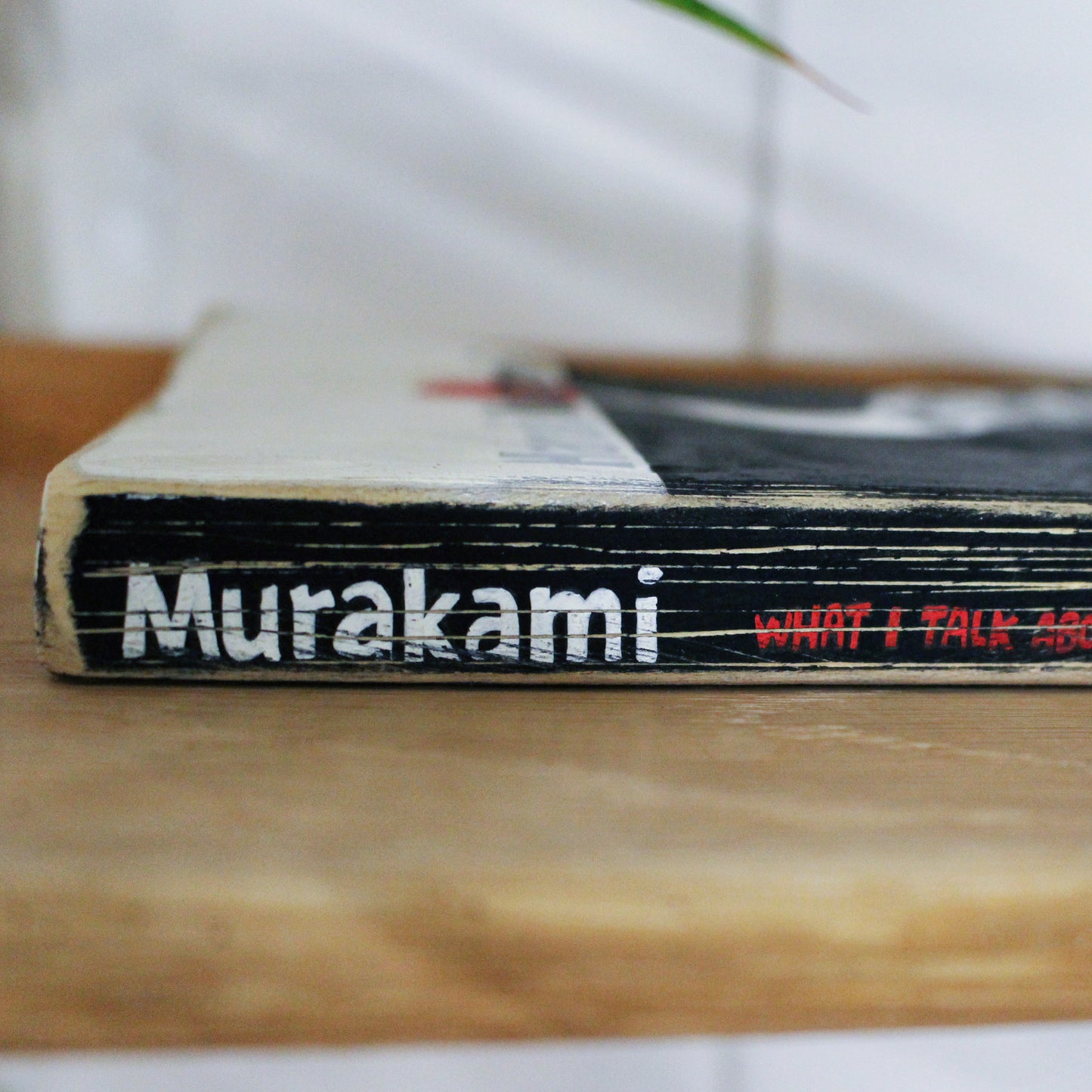 What I Talk About When I Talk About Running - Haruki Murakami